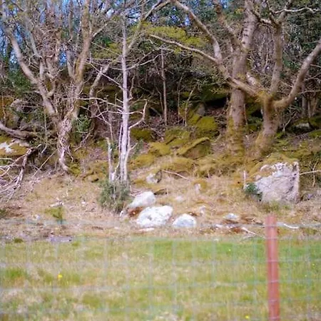 Nyaraló Mary Jane's Cottage, Lettermacaward Doochary