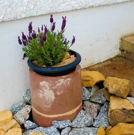 Mary Jane's Cottage, Lettermacaward