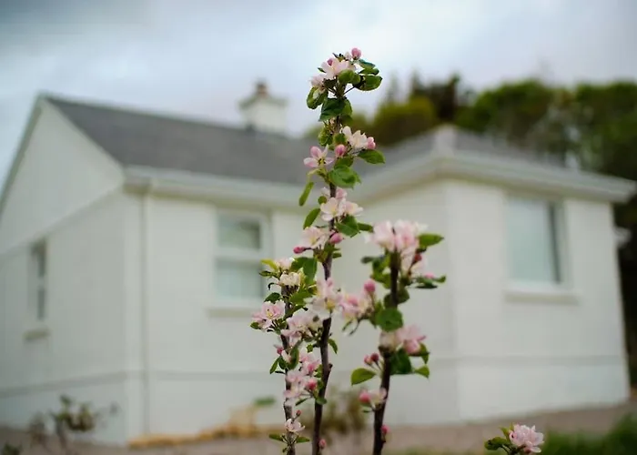 Mary Jane's Cottage, Lettermacaward 펜션 Doochary